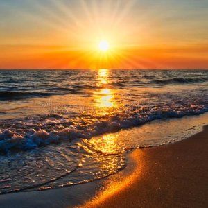 Meet your Posher, Chana